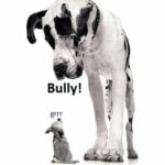 Biglittledogbully