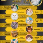 CatBreeds2021