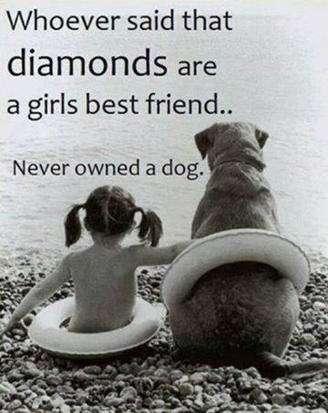 PNRdogsndiamonds