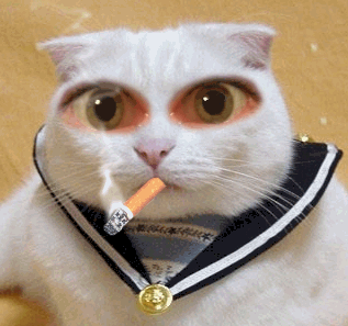 CATSMOKING