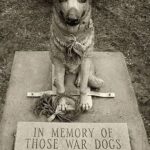 MemorialDogs1