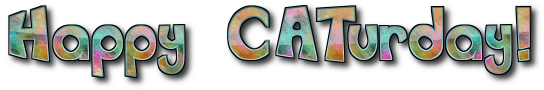 Happycaturday23