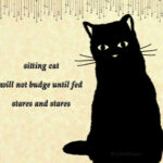 SittingCatHaikuPoem