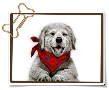 HappyDoggySmiling