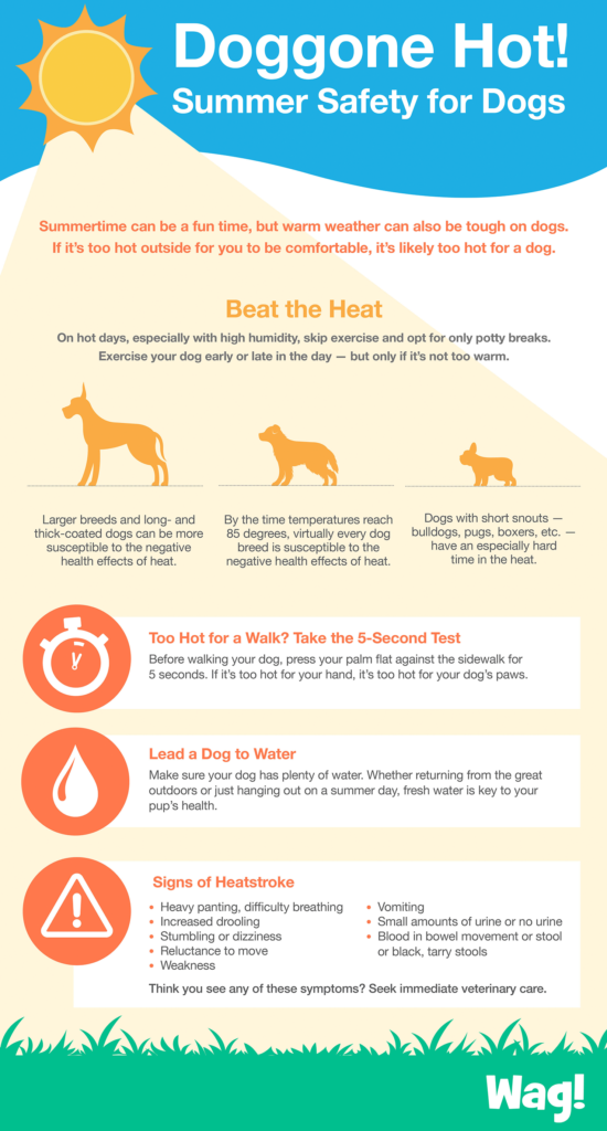 Heat infographic
