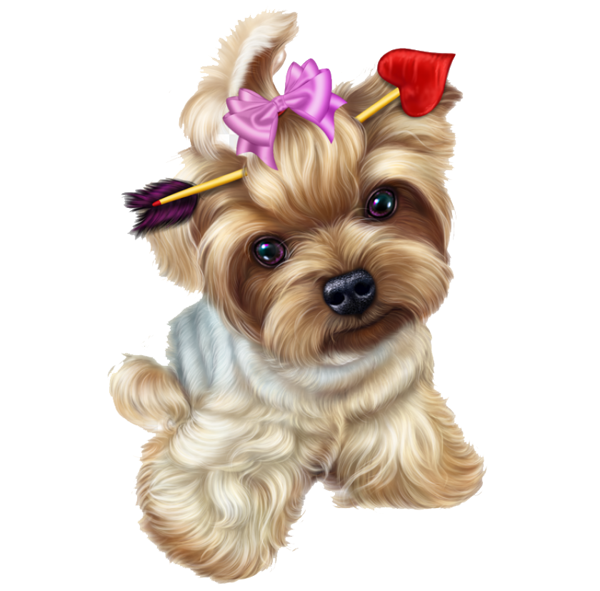 YorkieDoggy