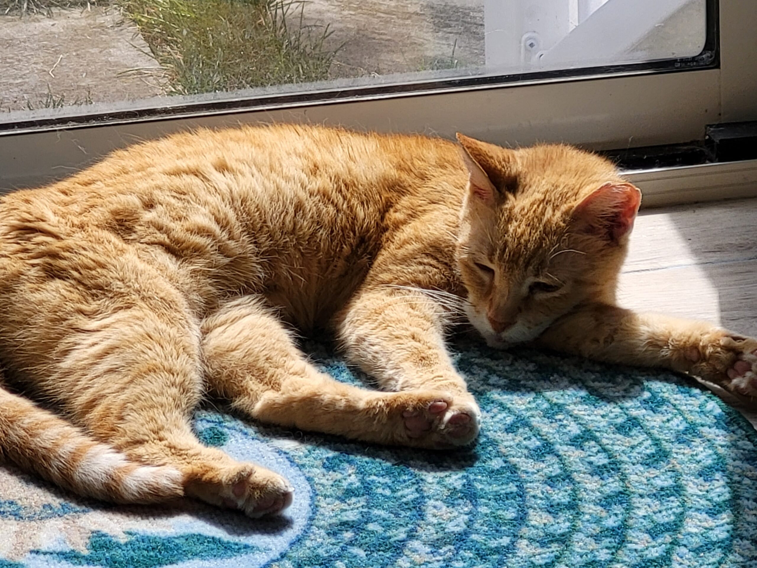 SleepySunDay