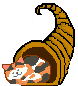 Cat cornucopia