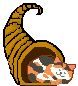 Cat cornucopia