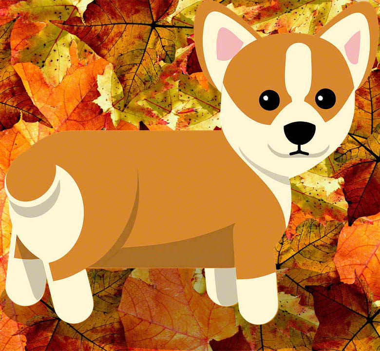 WelshCorgiWednesday2
