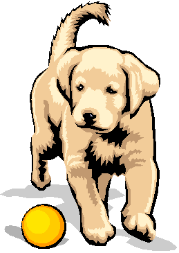 DogplayingBall