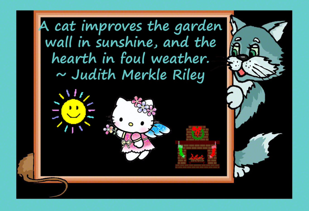 CatChalkboard