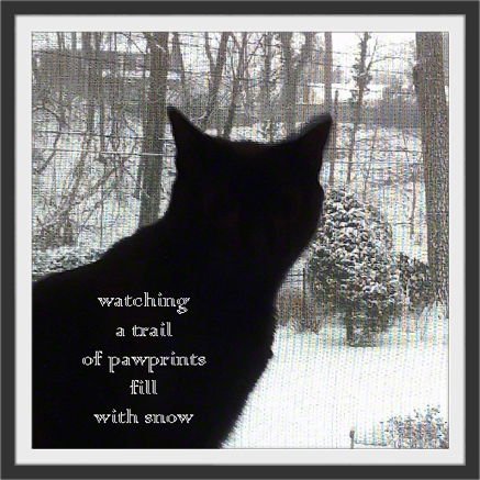 WatchingATrail