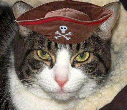 PirateKitty