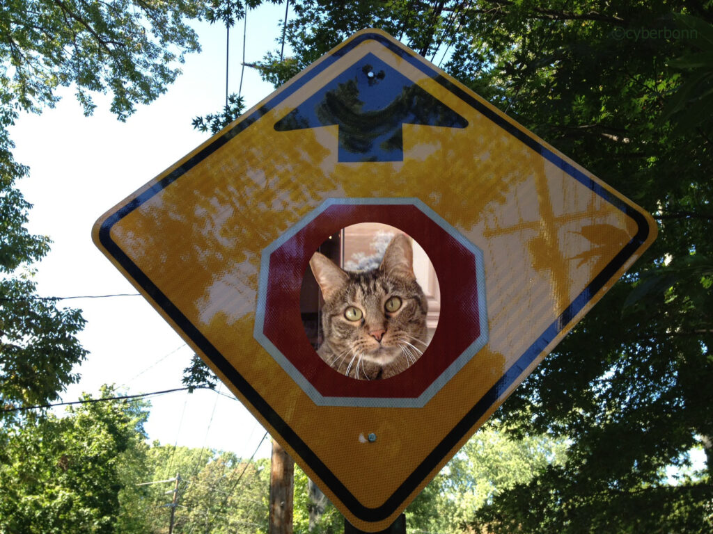 StopSignGoogie